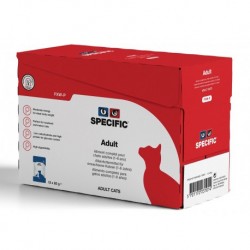 Specific chat FXW adulte