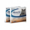 Strectis chat de 5 à 10 kg : Format:6 pipettes