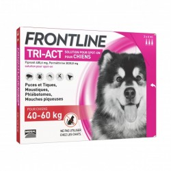 Frontline Tri Act chien...
