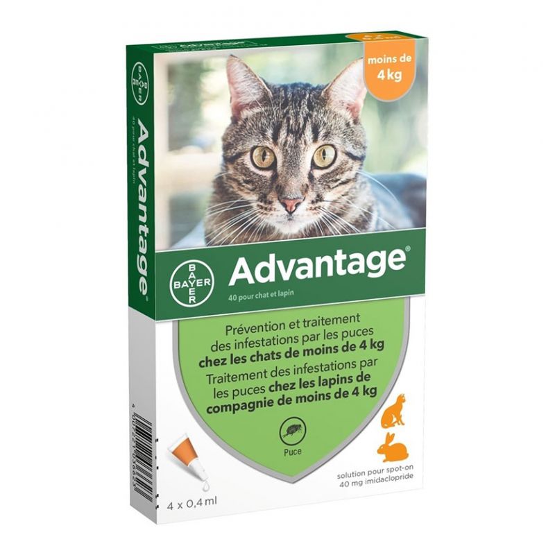 Advantage 40   Chats de moins de 4 kg - 4 pipettes