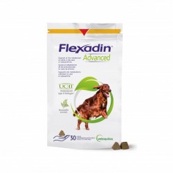 Flexadin Advanced Chew