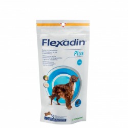 Flexadin plus Maxi