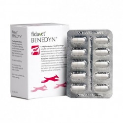 Benedyn - Boite de 50 gélules