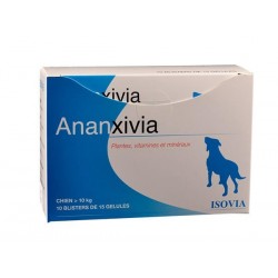 Ananxivia grand chien