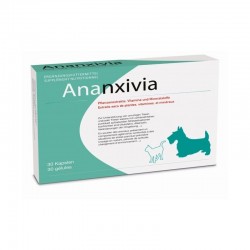 Ananxivia petits chiens et chats