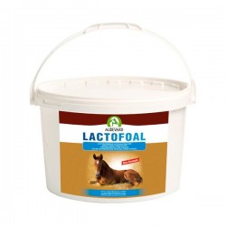 Audevard Lactofoal