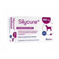 Silycure 160 mg - Boite de...