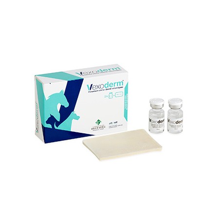 Pansement Antioxydant pour chien Vexoderm