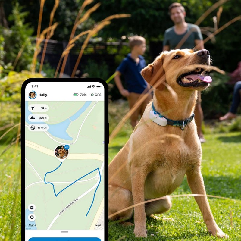 Tractive GPS DOG 4 - Traceur GPS pour chien - JungleVet