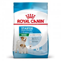 Royal Canin Dog Starter...