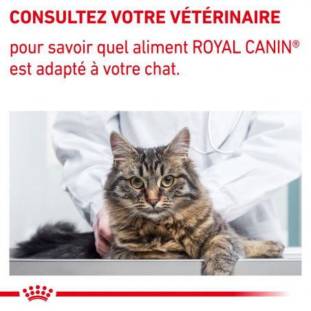 Royal canin Vet Care Nutrition Cat Senior Consult Stage 1 Balance