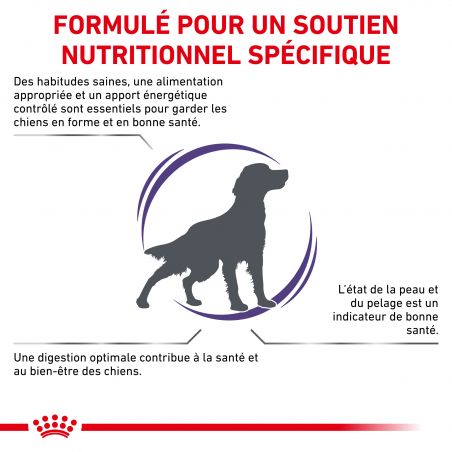 Royal Canin Vet Care Nutrition Dog adult Medium Skin & Digest