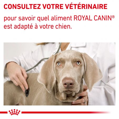 Royal Canin Vet Care Nutrition Dog Mature Consult 6- 12 sachets de 85g