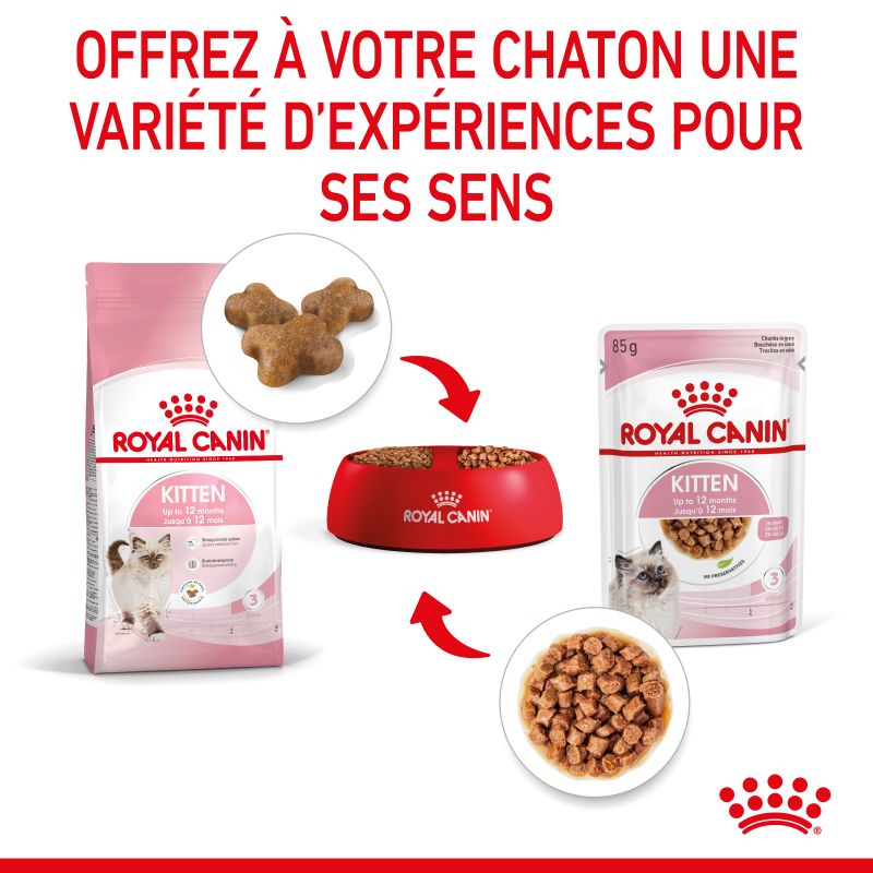 Royal Canin Urinary Care en gelée pour chat 12 sachets de 85g - Boites,  pâtées et sachets Chat - Croquettes & alimentation Royal Canin Care  Nutrition