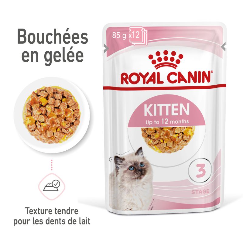 Royal Canin Cat Kitten Bouchées en Gelée - 12 sachet de 85g