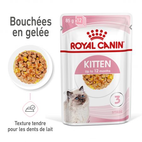 Royal Canin Cat Kitten Bouchées en Gelée - 12 sachet de 85g