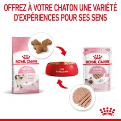 Royal Canin Cat Kitten Mousse sachet repas - 12 sachets de 85 g