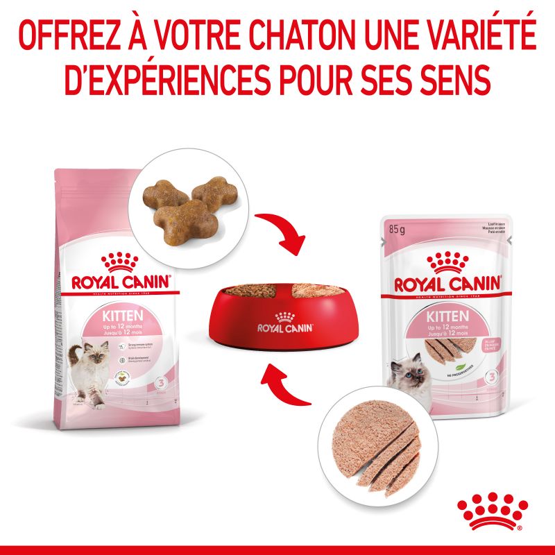 Royal Canin Cat Kitten Mousse sachet repas - 12 sachets de 85 g