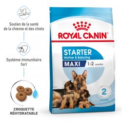 Royal Canin Dog Starter Mother & Babydog Maxi - Sac de 15 kg