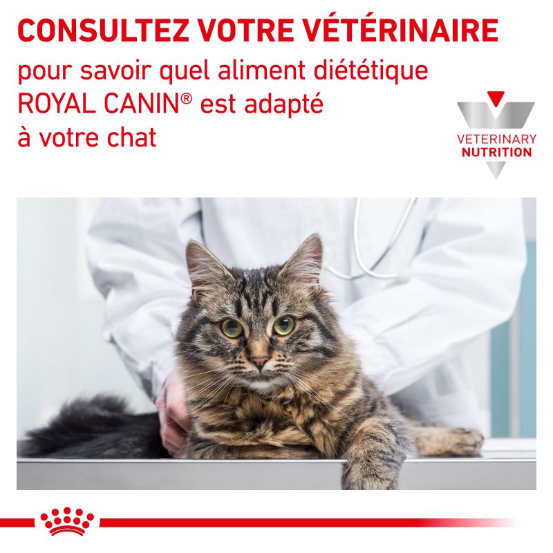 Royal Canin Veterinary Diet Cat Satiety Weight Management - 12 sachets de 85 g