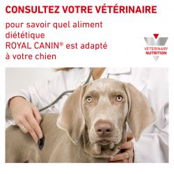 Royal canin veterinary diet dog Urinary