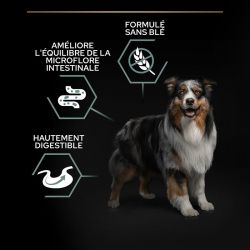 Purina Proplan Dog Medium/Large Sensitive Optidigest Grain Free Dinde