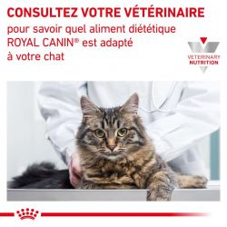 Royal Canin Veterinary Diet Cat Renal Special