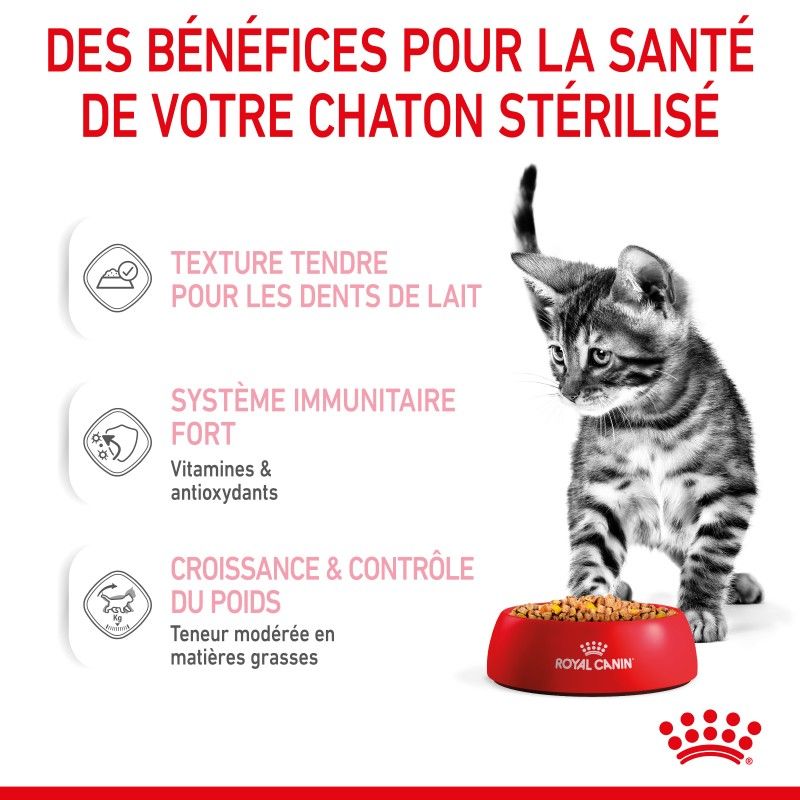 Royal Canin Kitten Sterilised émincé en gelée - 12 sachets de 85 g