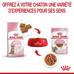 Royal Canin Kitten Sterilised Emincé en sauce - 12 sachets de 85 g