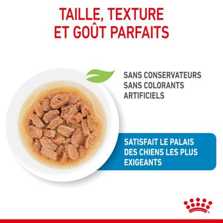Royal Canin Mini Puppy en sauce 12 sachets de 85 g