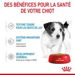 Royal Canin Mini Puppy en sauce 12 sachets de 85 g