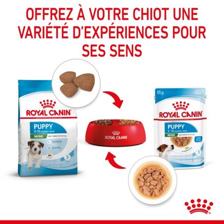 Royal Canin Mini Puppy en sauce 12 sachets de 85 g