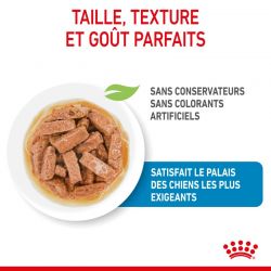 Royal Canin Maxi Puppy Sauce pour chiot - 10 sachets de 140 g
