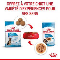 Royal Canin Maxi Puppy Sauce pour chiot - 10 sachets de 140 g