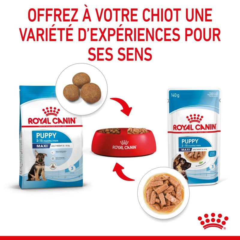 Royal Canin Maxi Puppy Sauce pour chiot - 10 sachets de 140 g