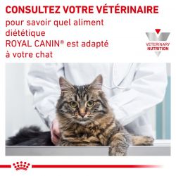 Royal Canin Veterinary Diet Cat Urinary S/O Moderate Calorie Morceaux - 12 sachets de 85 g