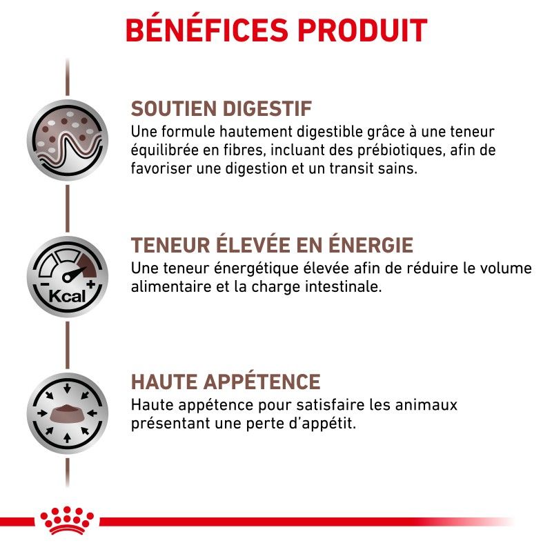 Royal Canin Veterinary Diet Cat Gastro Intestinal -12 sachets de 85 g