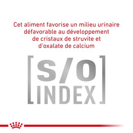 Royal Canin Veterinary Diet Cat Gastro Intestinal -12 sachets de 85 g