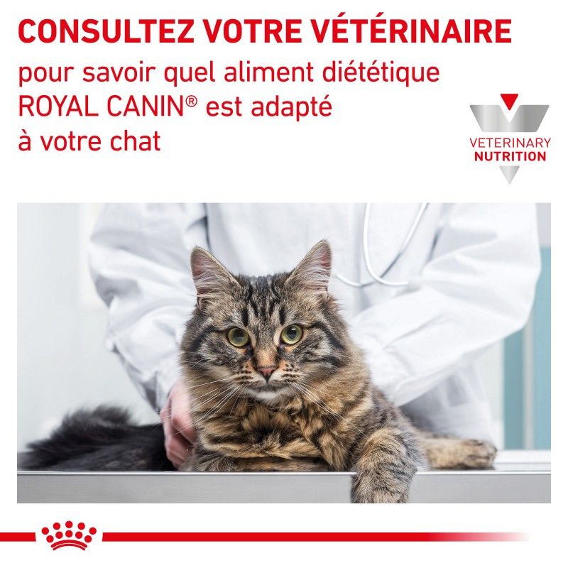 Royal canin Veterinary Diet Cat gastro intestinal Hairball