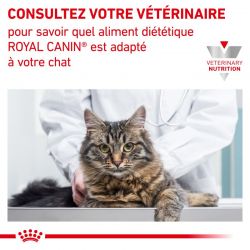 Royal Canin Veterinary Diet Cat Gastro Intestinal Kitten - 12 boites de 195 g