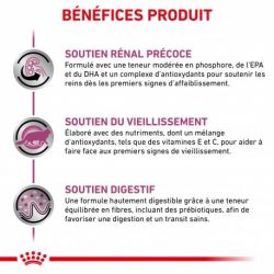 Royal Canin Veterinary Diet Cat Early Renal