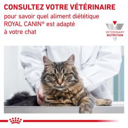Royal Canin Veterinary Diet Cat Gastro Intestinal Moderate Calorie -12 sachets de 85 g