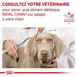 Royal canin Veterinary Diet Small Dog Renal