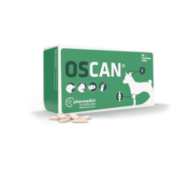 Oscan - Boîte de 60 comprimés