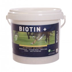 Biotin + pour cheval