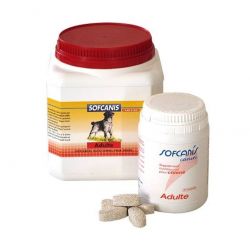 Sofcanis canin Adulte comprimé
