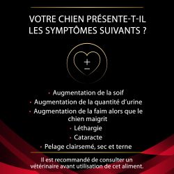 Purina ProPlan Veterinary Diets Canine DM Diabetes