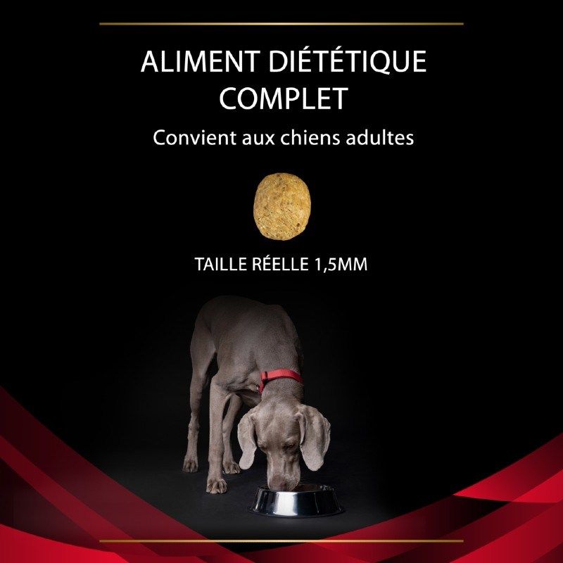 Purina ProPlan Veterinary Diets Canine DM Diabetes