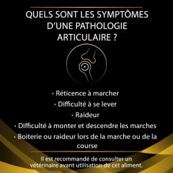 Pro Plan Veterinary Diets Canine JM Joint Mobility