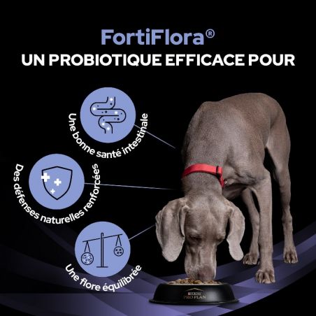 Pro Plan Fortiflora pour chien - JungleVet
